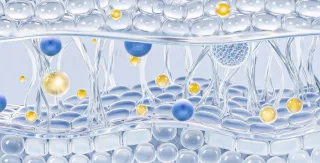 Skin Cancer Detection with 3D-TBP