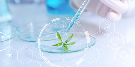 点头科技携手湖南科技大学 共推AI赋能手性药物研发